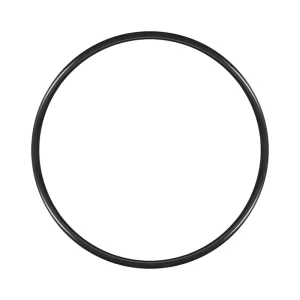 Uxcell 1pcs O-Rings Nitrile Rubber Gaskets Seal Ring 160mm x 170mm x 5mm Sealing Gasket Faucet Sealing Valve O Rubber Rings